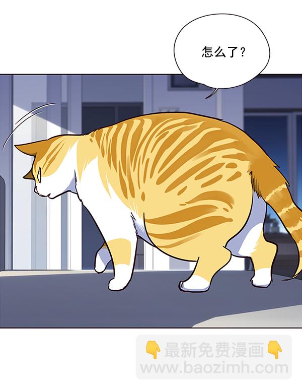 第36话80