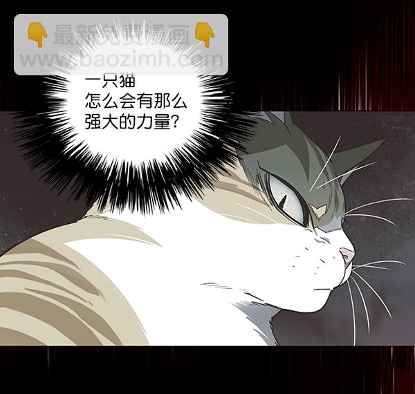 第46话45