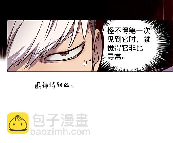 第46话46