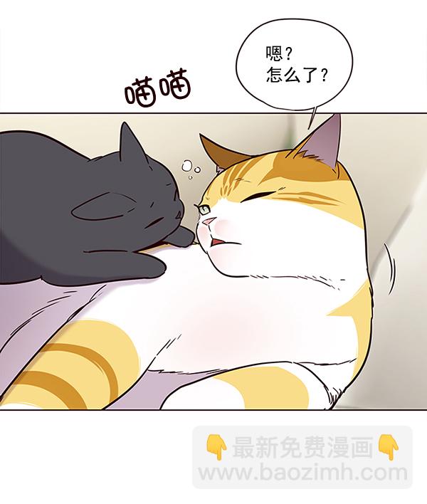 第101话3