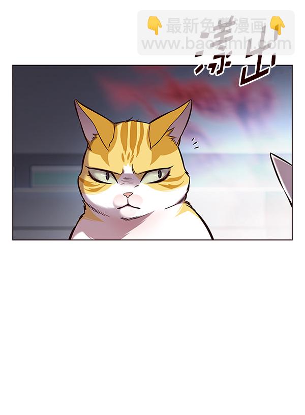 第155话14