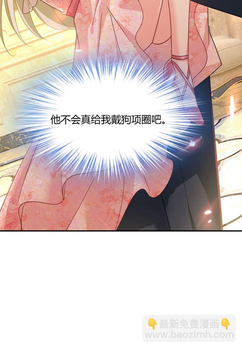 这个项圈你要不要戴？19