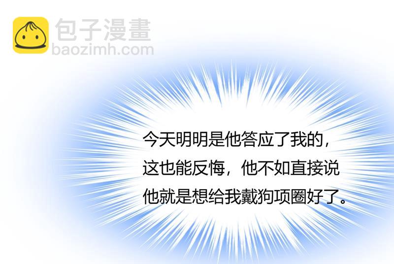 这个项圈你要不要戴？41