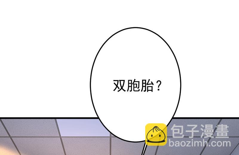 我怀了双胞胎？！20