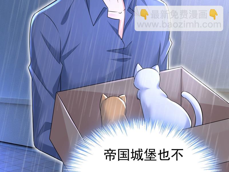 这一次，彻底死心了62