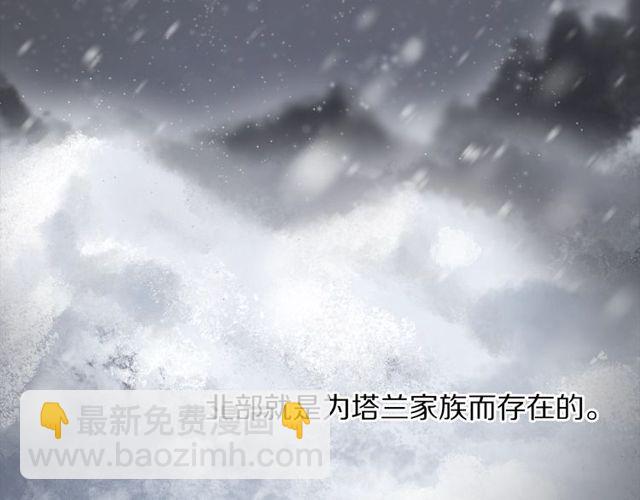 第41话 高贵的血脉？78