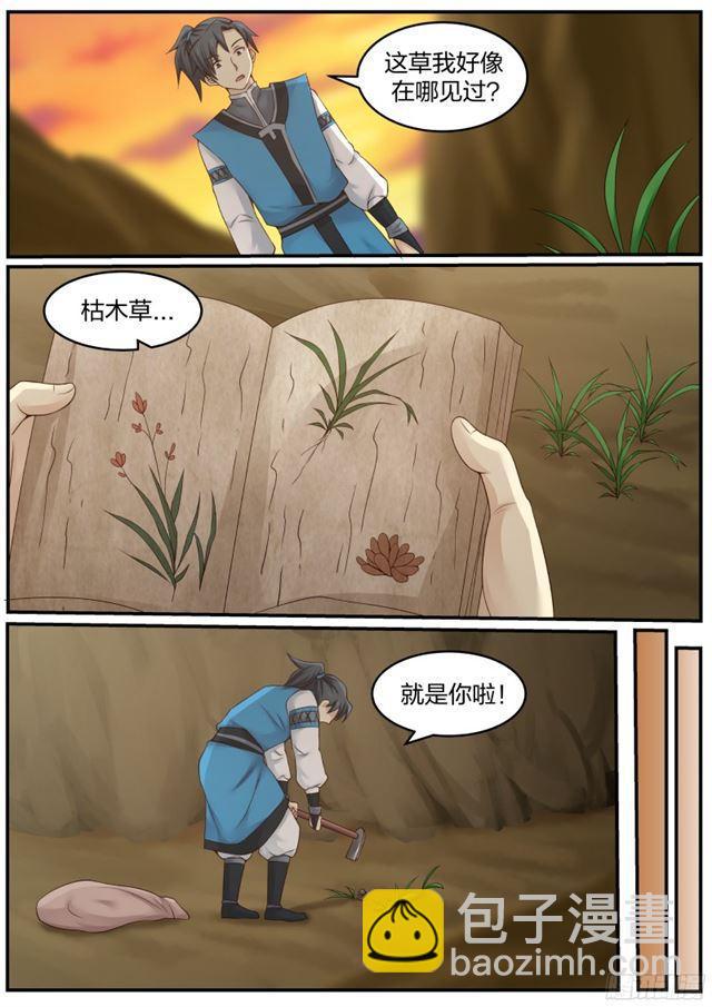 19 修炼用的草药12