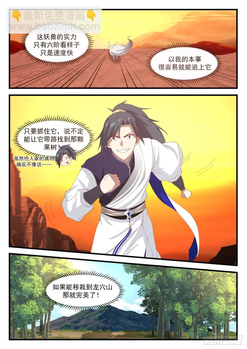 1115 金阳果6