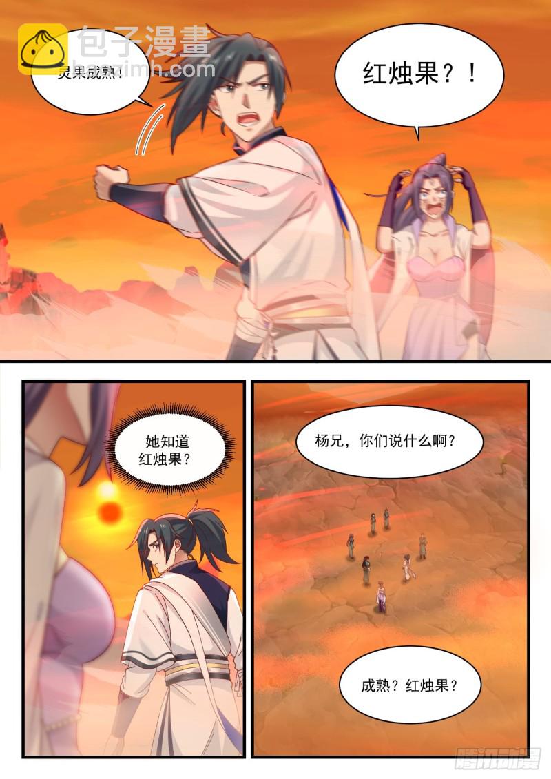 1123 红烛果4