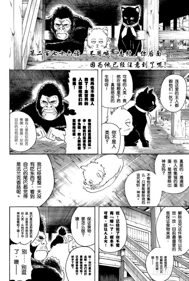 第276话 不用喊“志村，你后面”，因为他已经注意到了呢！1