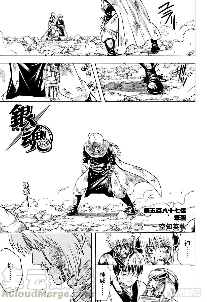 第587话 笨蛋0