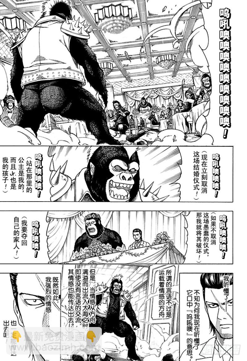 第694话 大猩猩败在大猩猩手上3