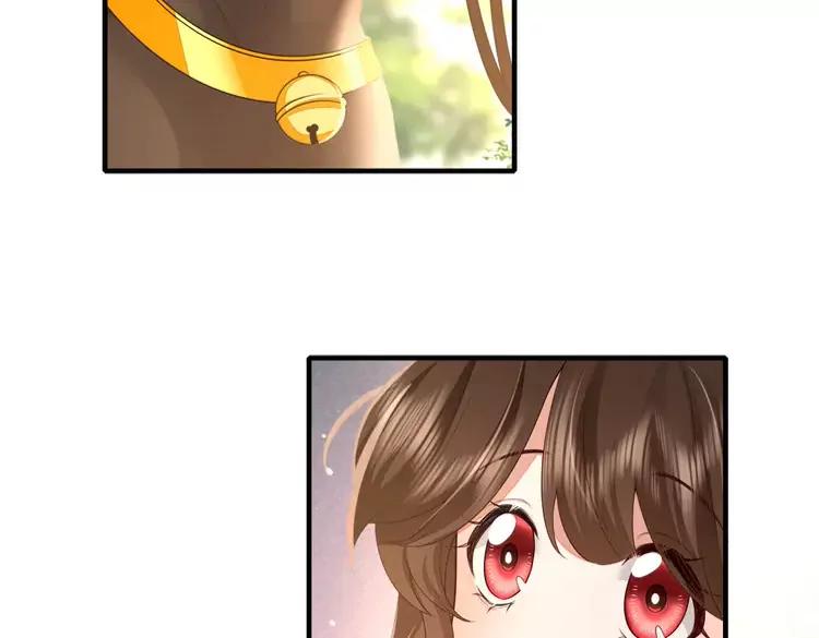 第150话 骑马去咯~41
