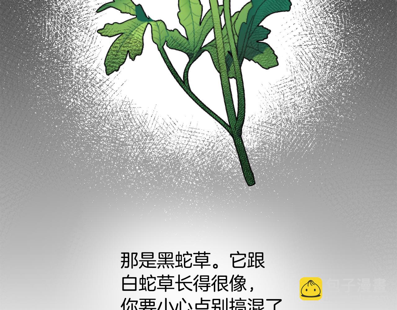 第84话 可疑的药草5