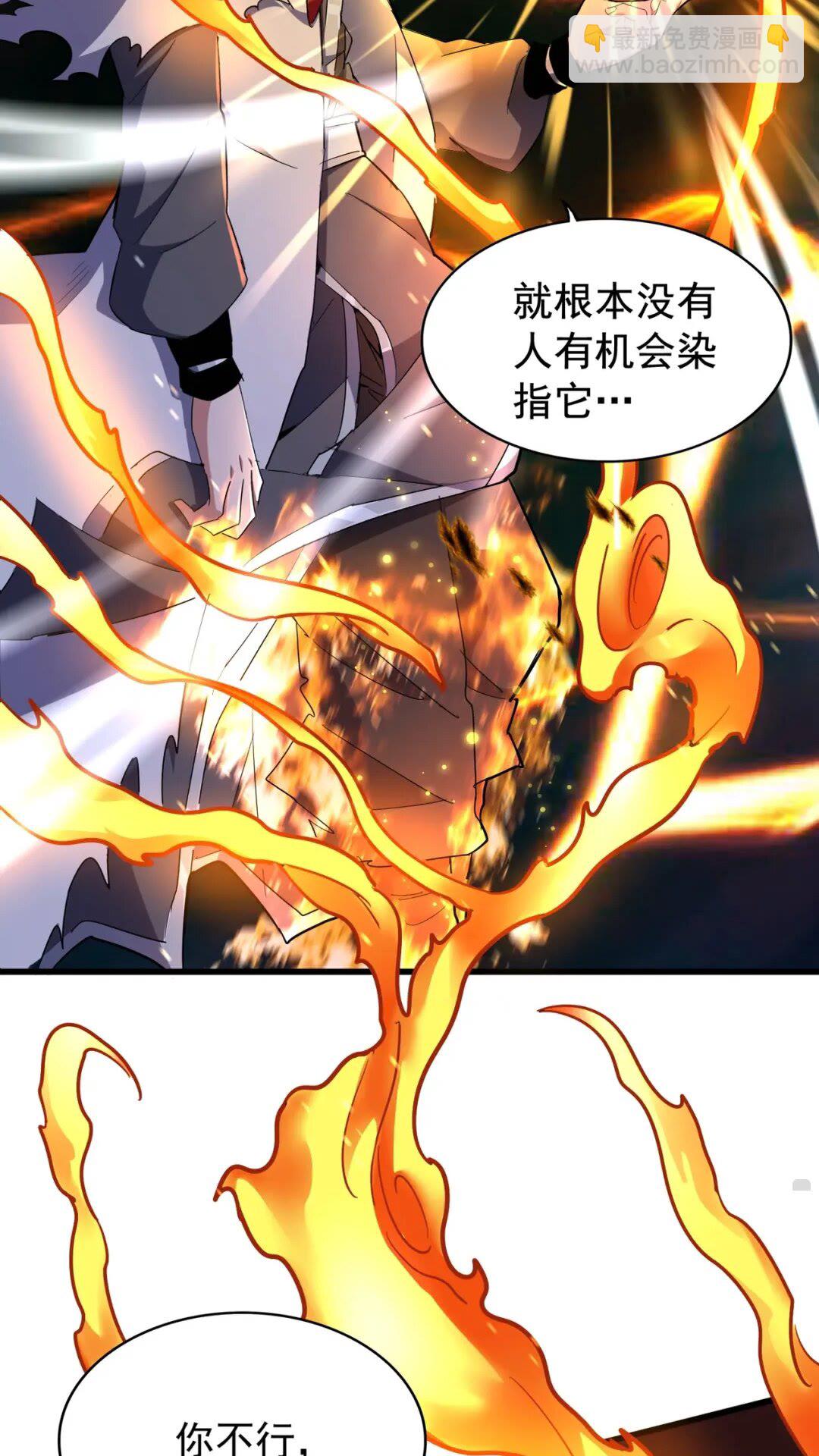 第173话 炼丹玩的不就是心跳56