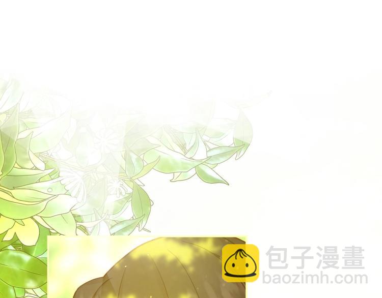 第一季完结话 护你周全171