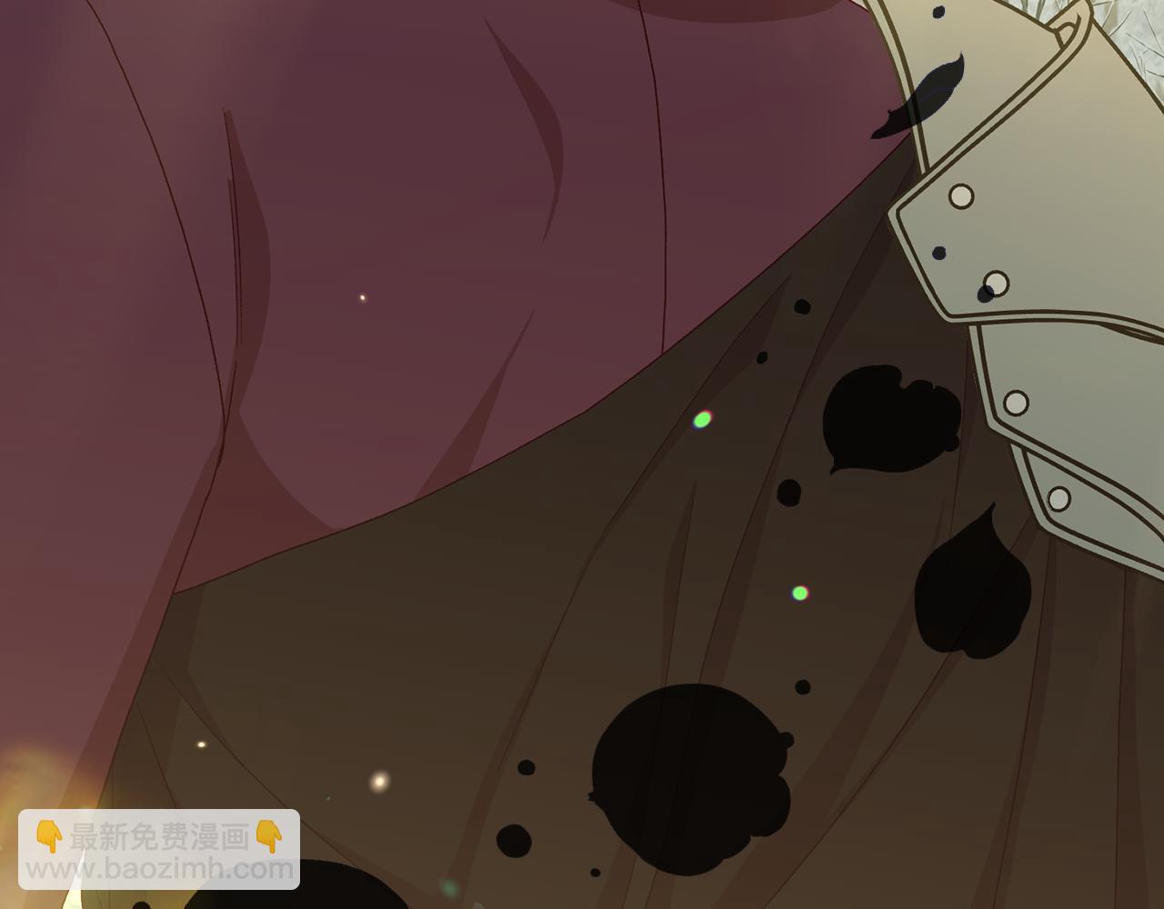 第136话 她的骑士199