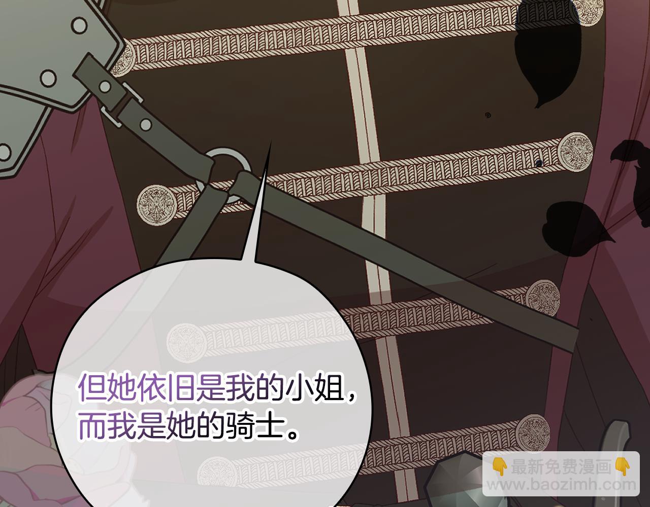 第136话 她的骑士208