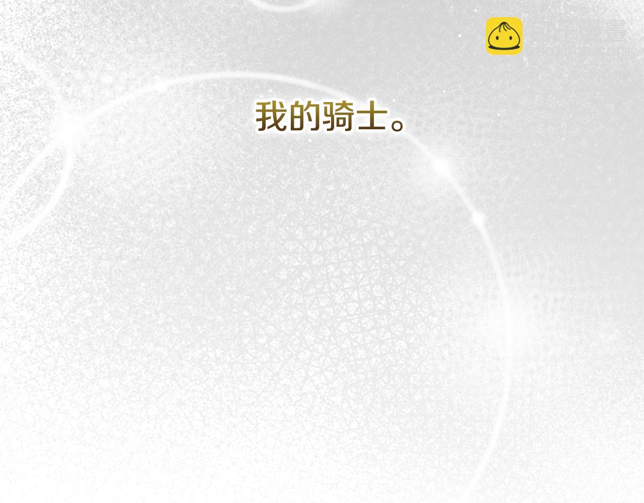 第136话 她的骑士216