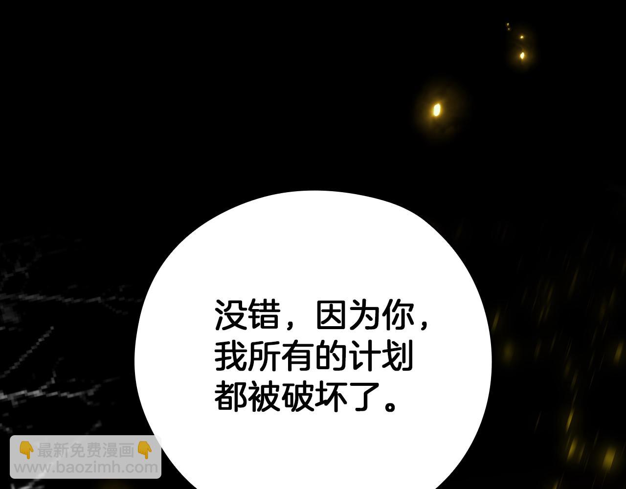 第136话 她的骑士25