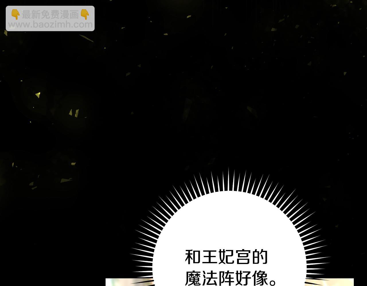 第136话 她的骑士5
