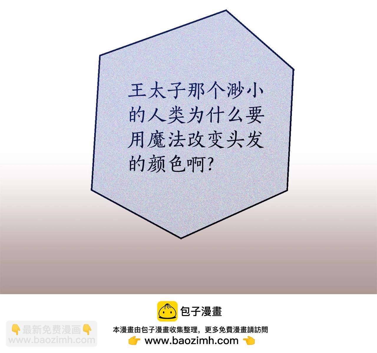 第113话 精灵村庄201