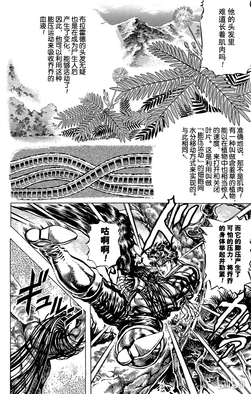 029 黑骑士的咒缚之卷8