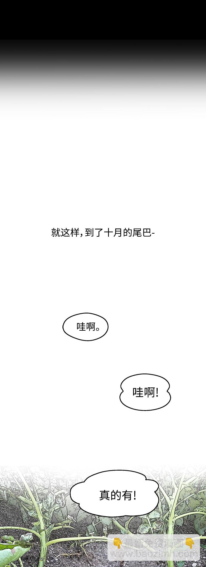 结语1