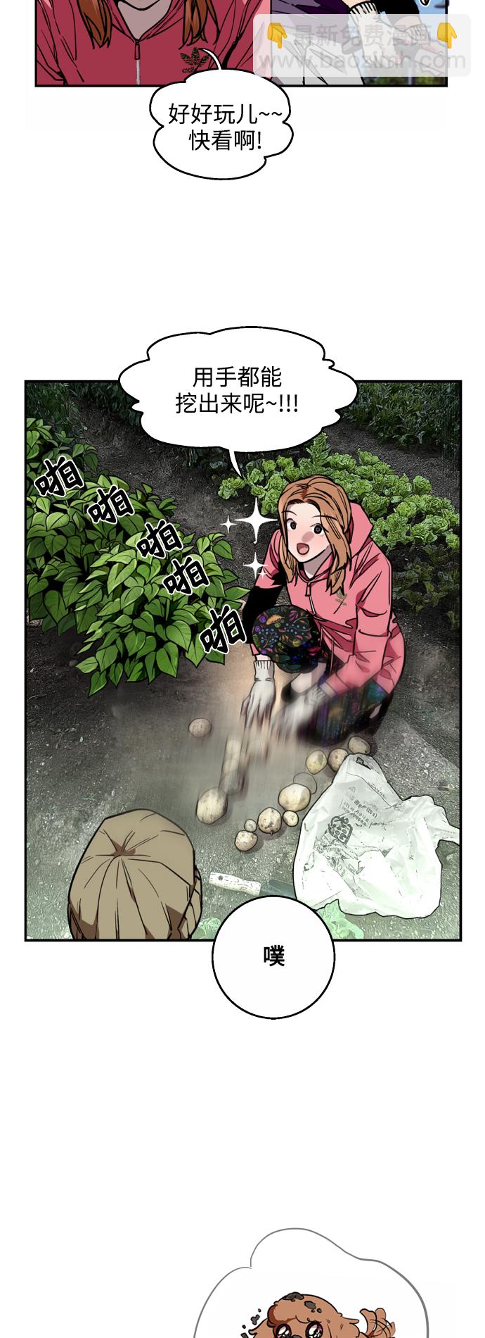 结语3
