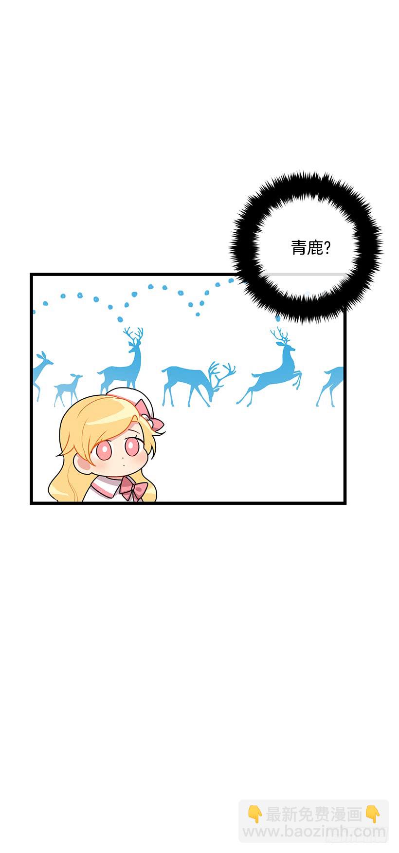 62.生日礼物35