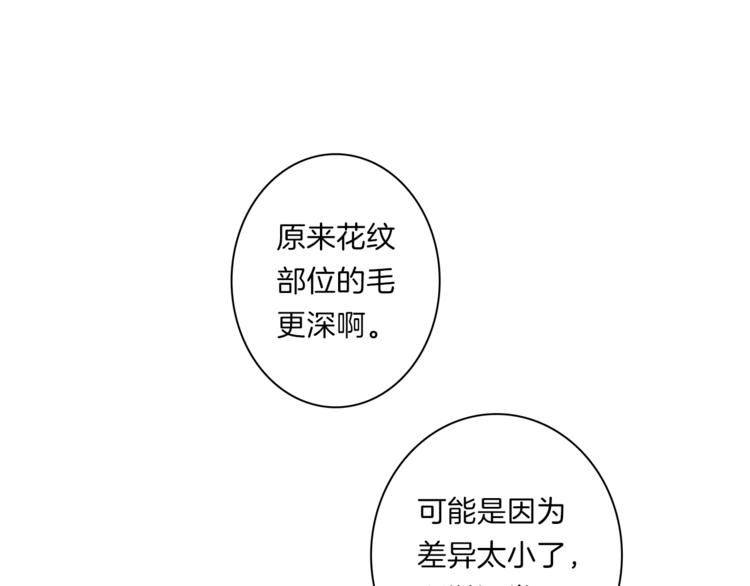 第41话 龙族危机1