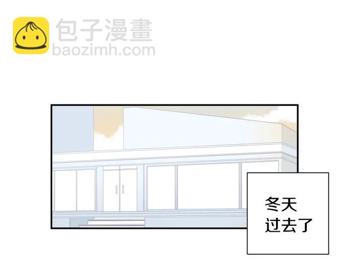 完结篇 春天的樱花86