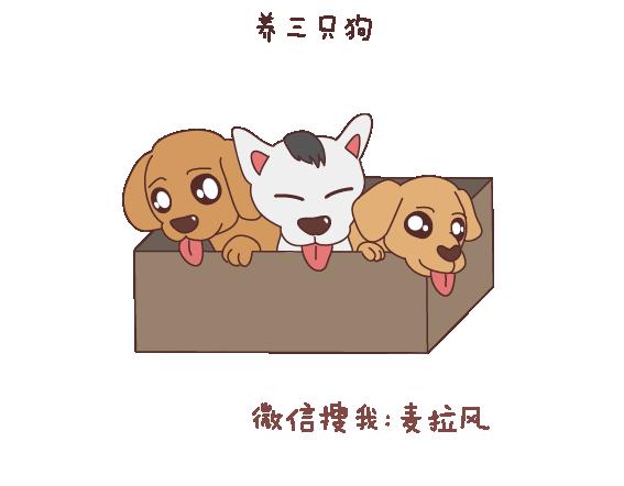 第121话 一辈子想和另一半做的事情40