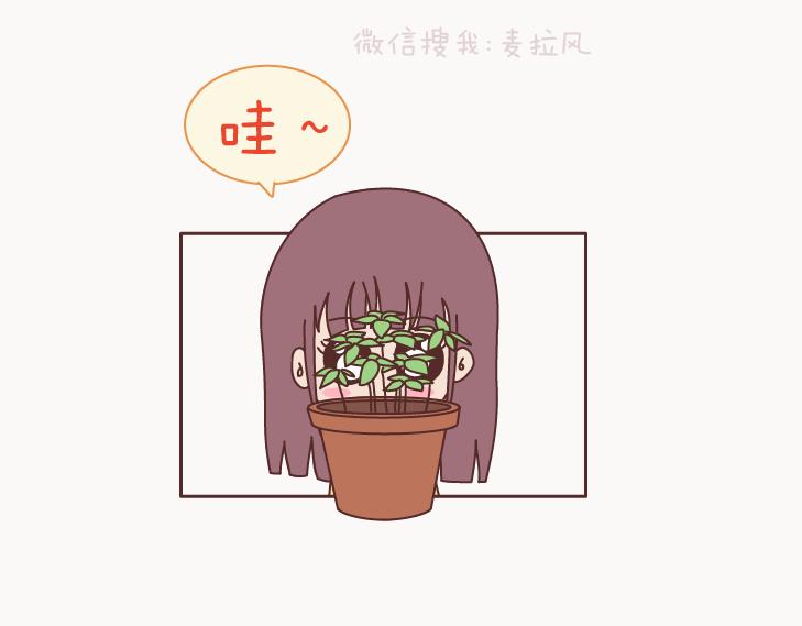 第127话 我就喜欢不那么好的你4