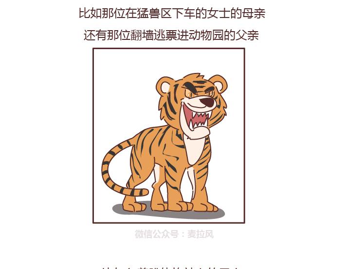 第219话 安全出行须知16