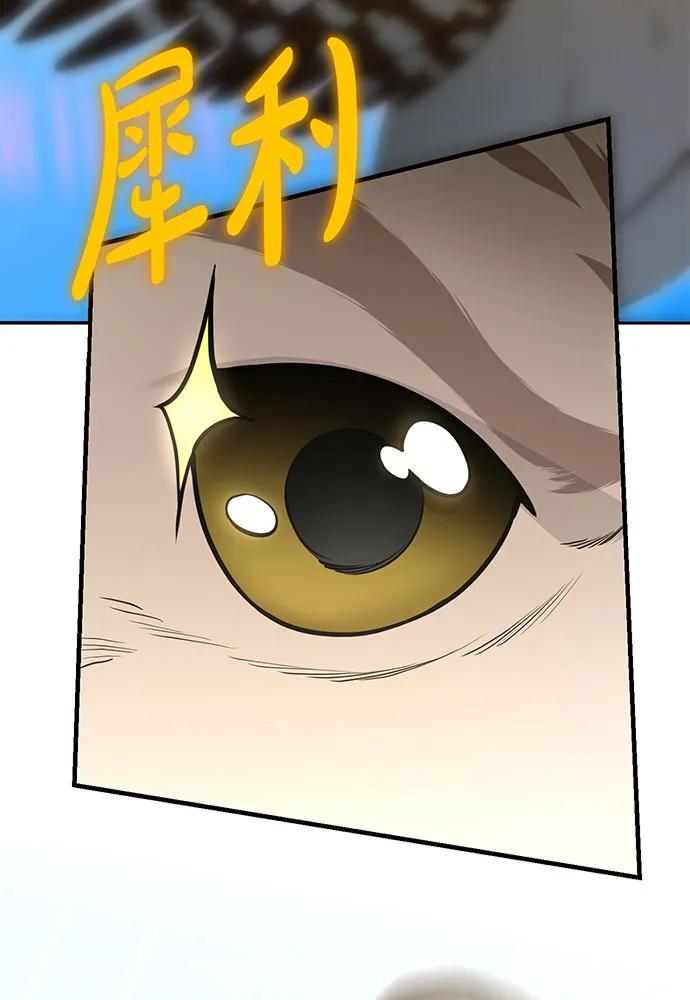 [第123话] 猎鹰大会101
