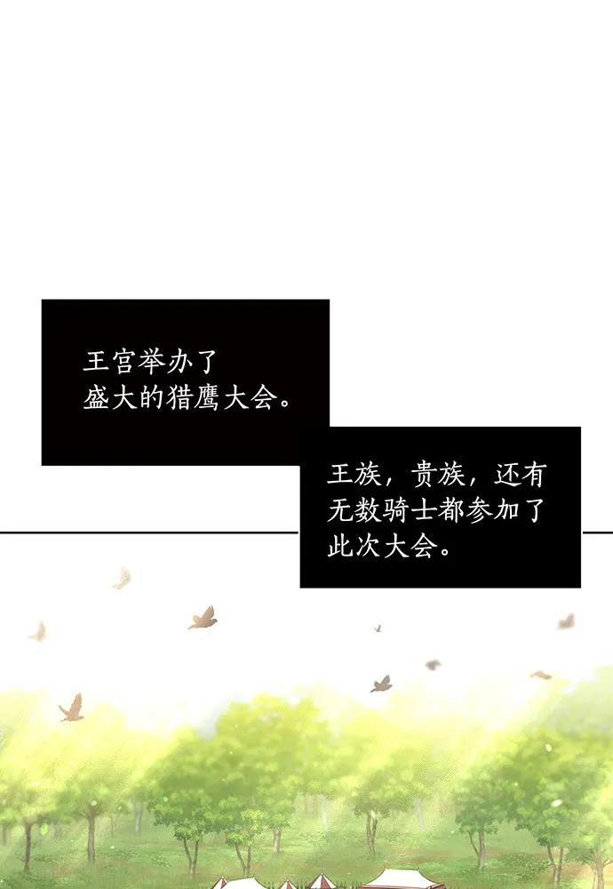 [第123话] 猎鹰大会126