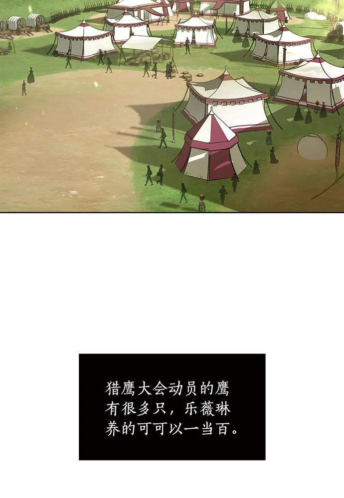 [第123话] 猎鹰大会127