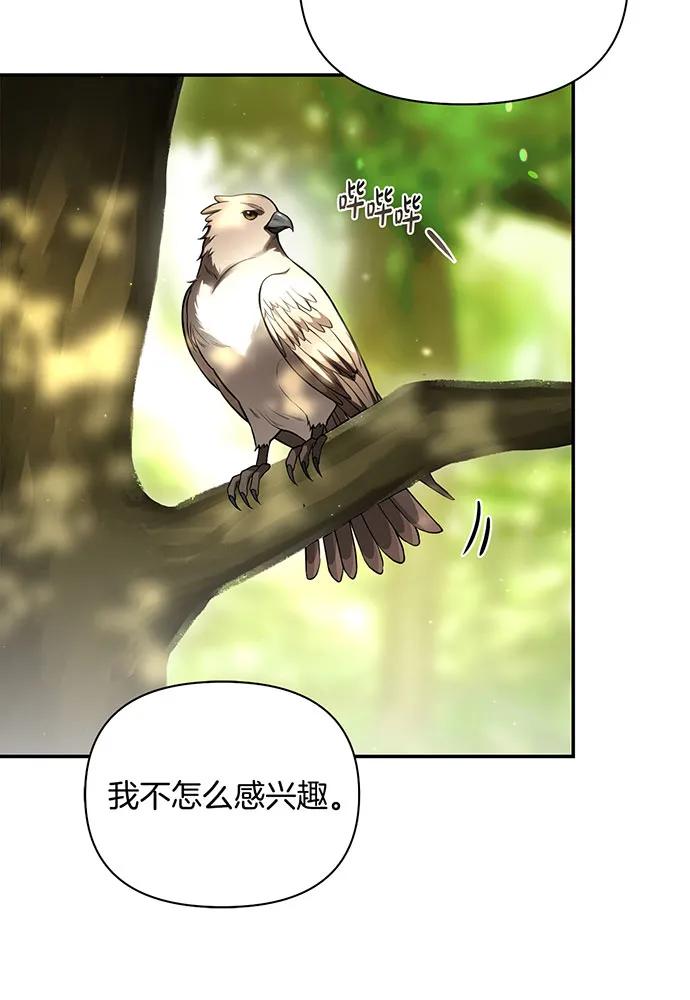 [第123话] 猎鹰大会137