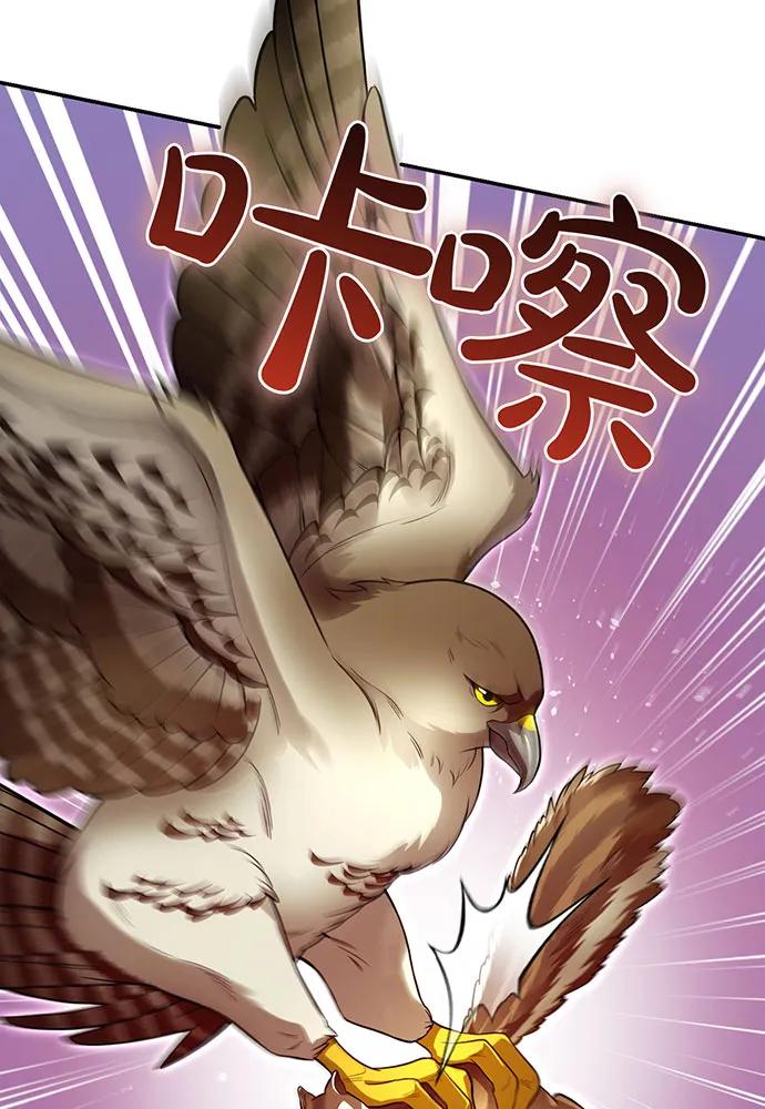 [第123话] 猎鹰大会82