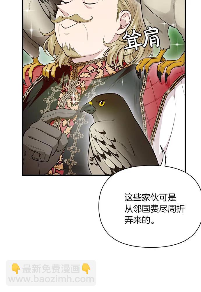 [第123话] 猎鹰大会88