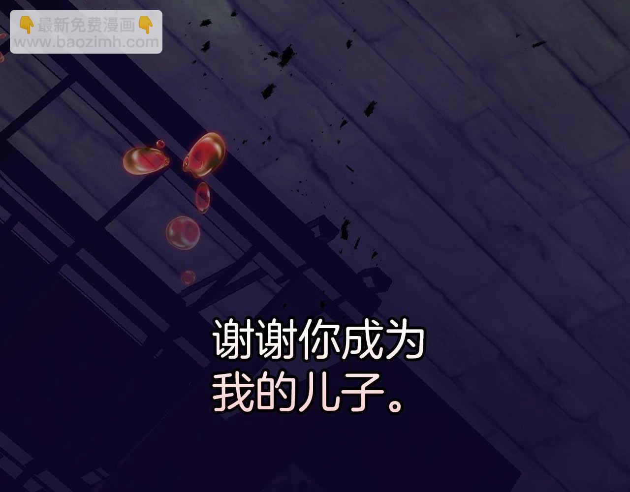 第113话 项链中的记忆224