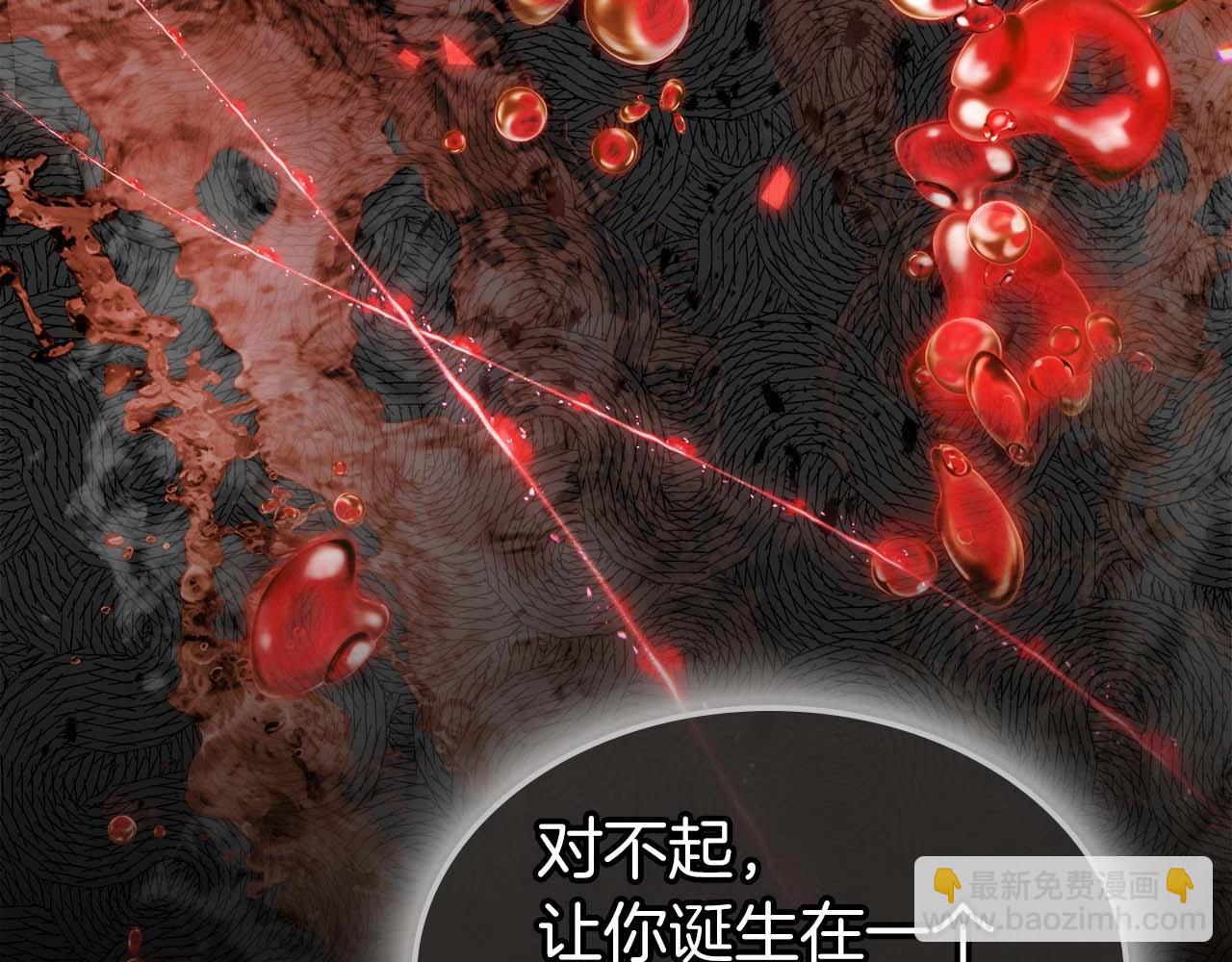 第113话 项链中的记忆71