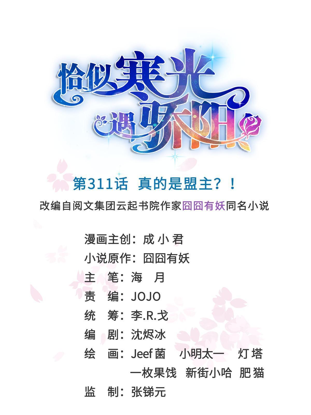 第311话 真的是盟主？！0