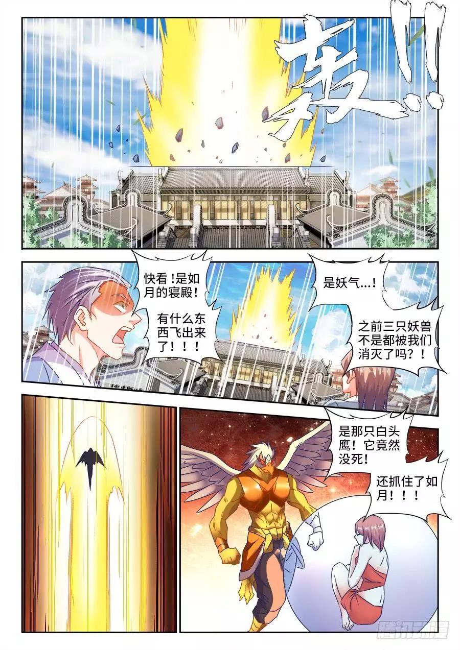442、陪葬0