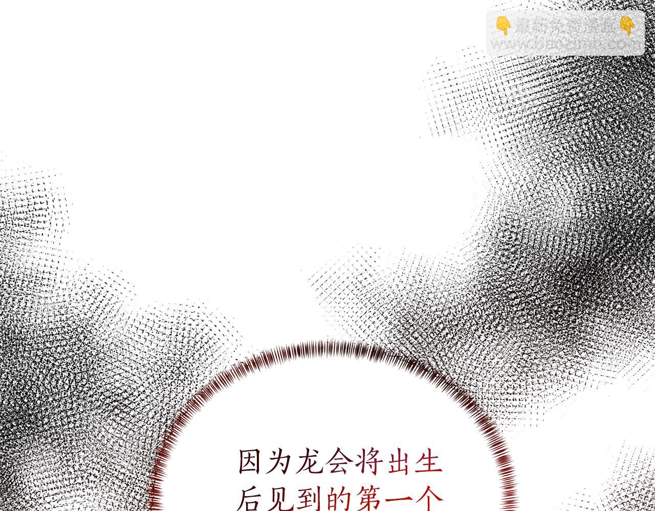 第80话 萌物登场70