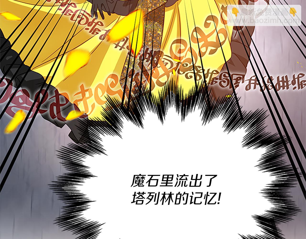 第102话 魔石中的记忆113