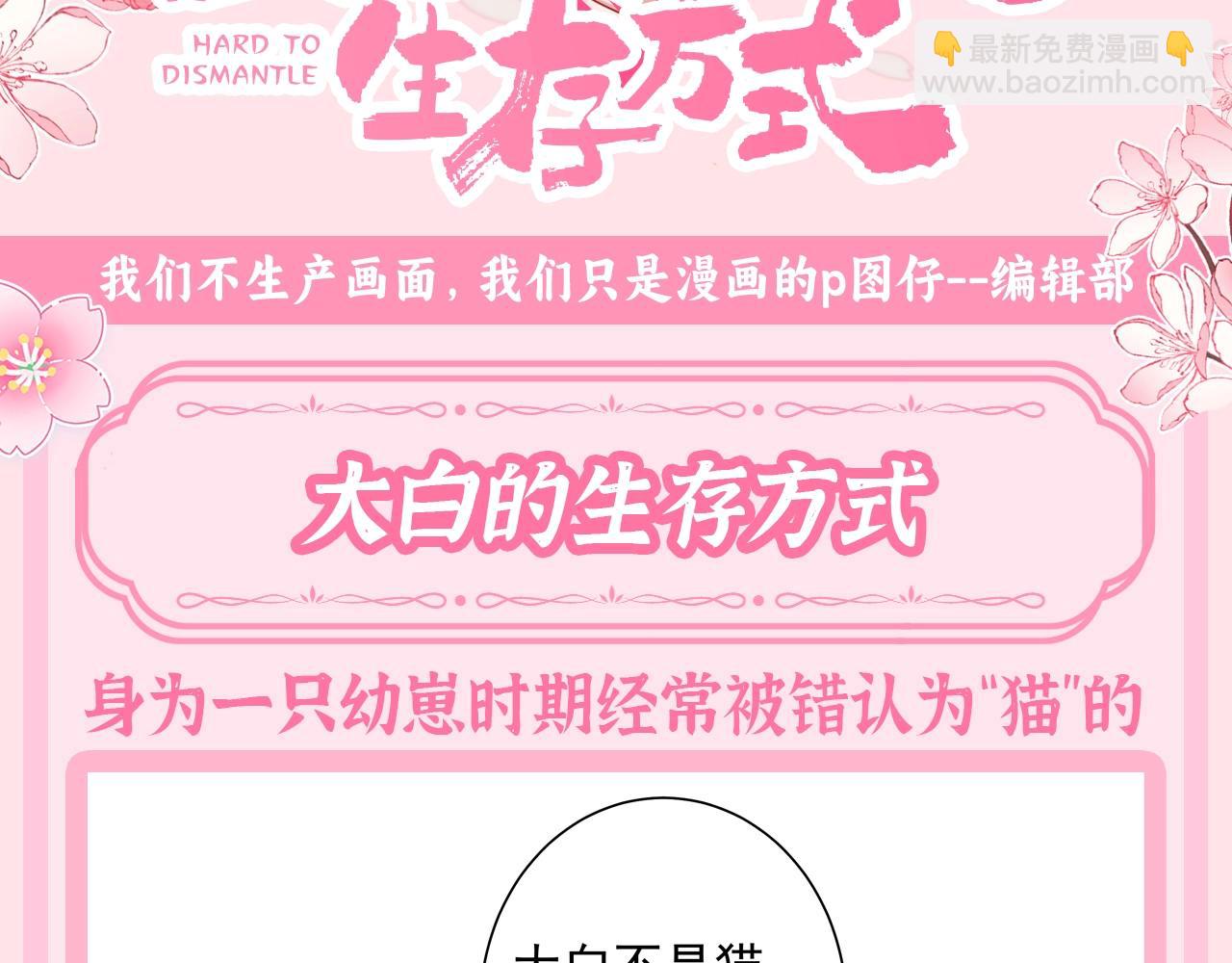 加更第62期 搞点事：大白的生存方式2