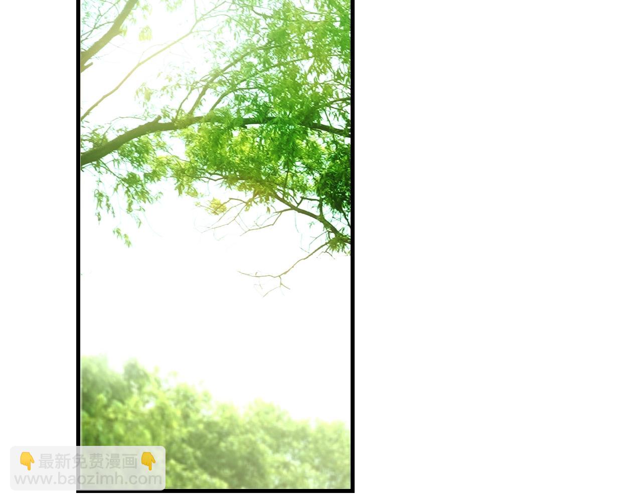 第85话 调查1