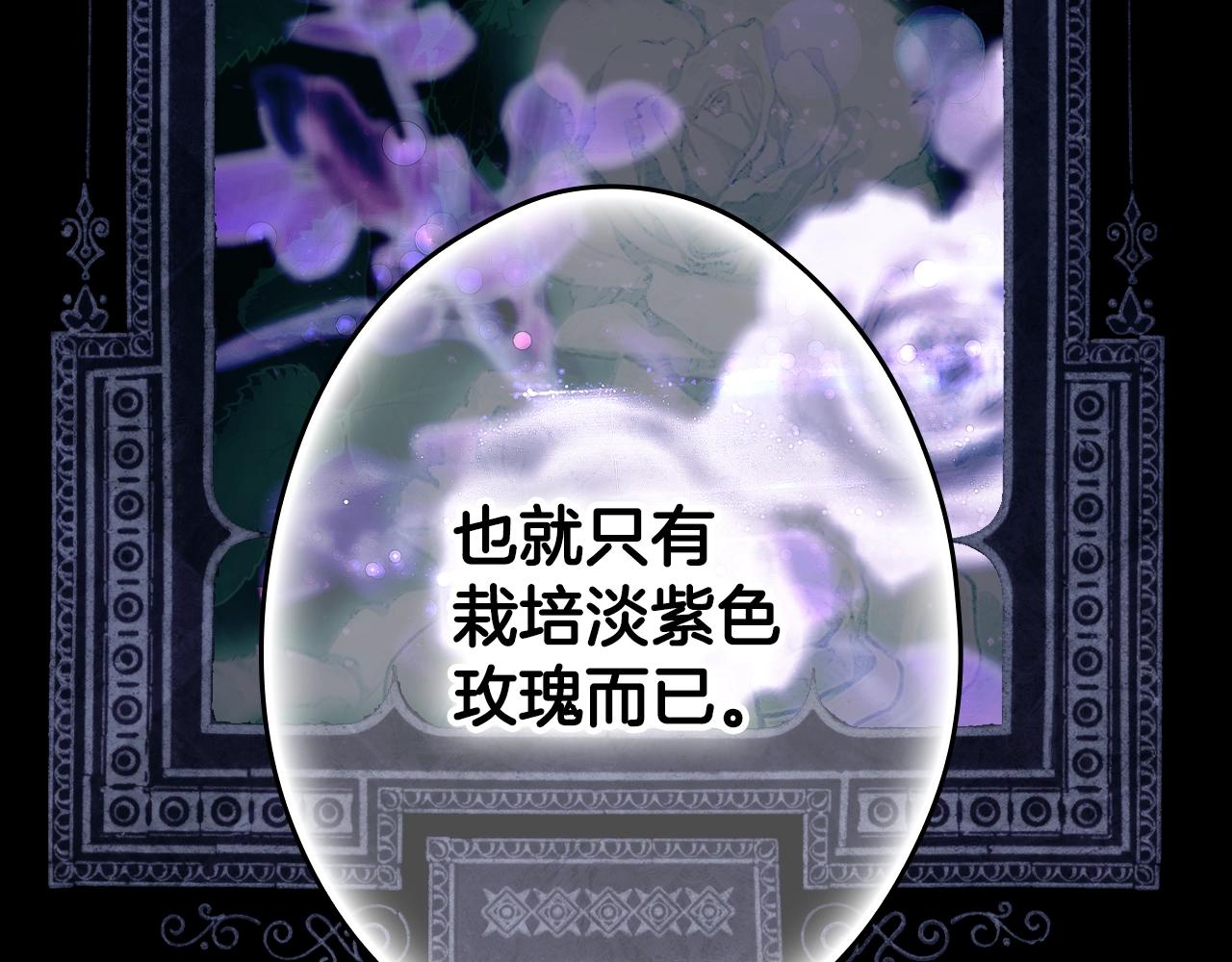 第134话上 无言的玫瑰287